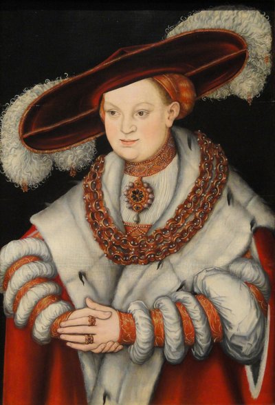 Art Institute of Chicago door Lucas Cranach the Elder